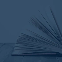 Indiemoon Vitnesbyrd